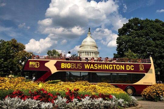 Big Bus Washington DC Open Top Hop-On Hop-Off Tour