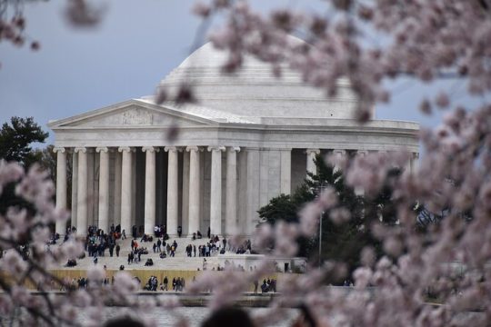 Cherry Blossom Private Bus Tour of Washington DC