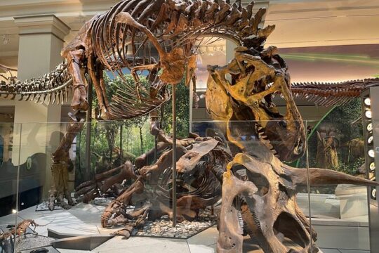 Smithsonian Natural History Museum Private Tour