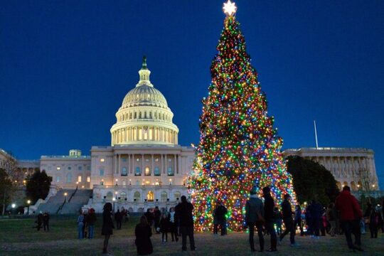 Holiday Lights Private Night Bus Tour of Washington DC