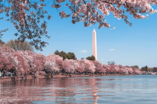 Top Tidal Basin Explorer of Thomas Jefferson FDR & MLK Memorials